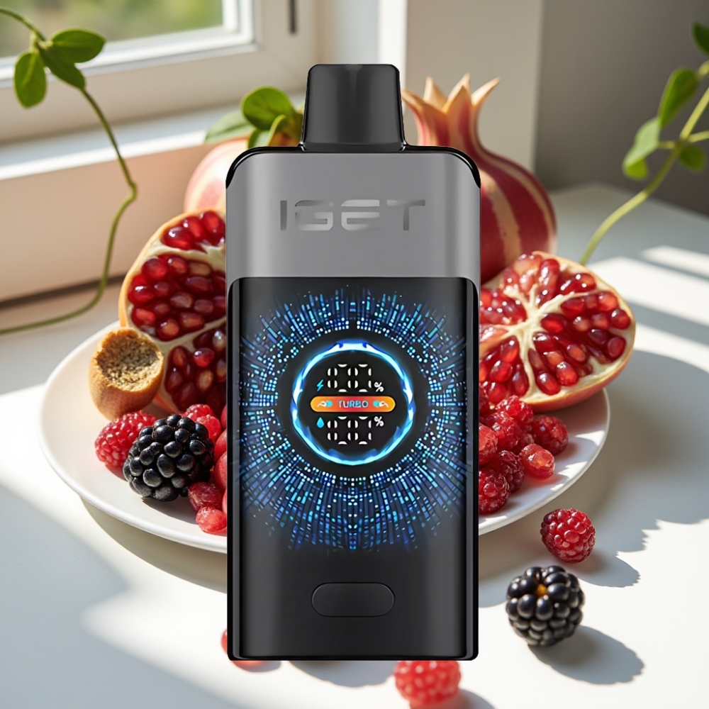 IGET ONE 12000 Puffs Disposable Vape with 2700mAh Battery and Dual Mesh Coil - Blackberry Cherry Pomegranate