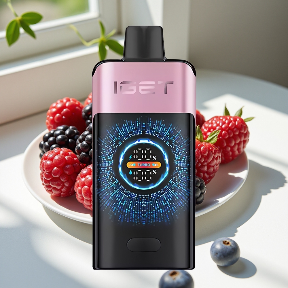 IGET ONE 12000 Puffs Turbo Disposable Vape with Curved Screen & Dual Mesh Coil - Blackberry Ice