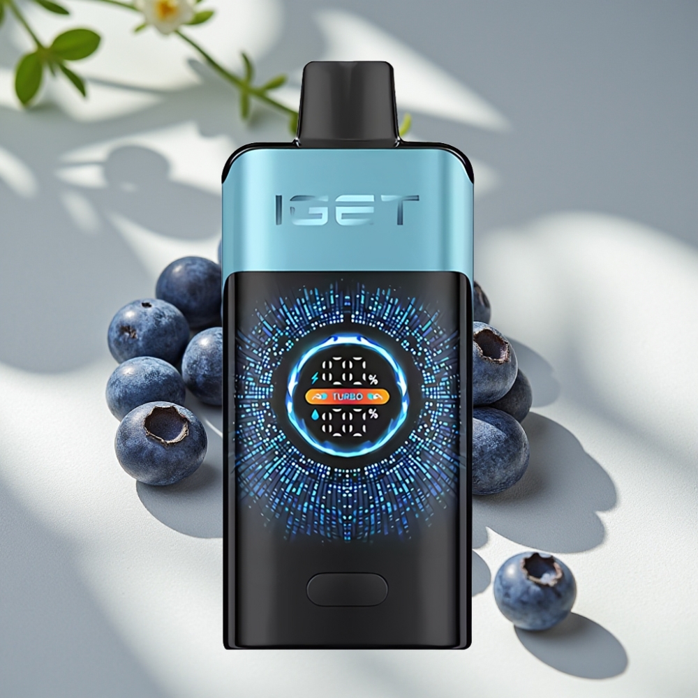 IGET ONE 12000 Puffs Turbo Disposable Vape with Curved Screen & Dual Mesh Coil - Blueberry Ice
