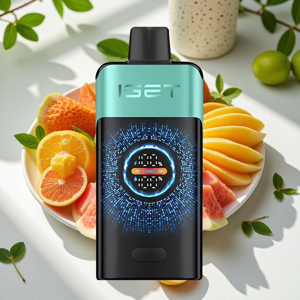 IGET ONE 12000 Puffs Turbo Disposable Vape with Curved Screen and Dual Mesh Coil - Mountain Spring Mint Ice