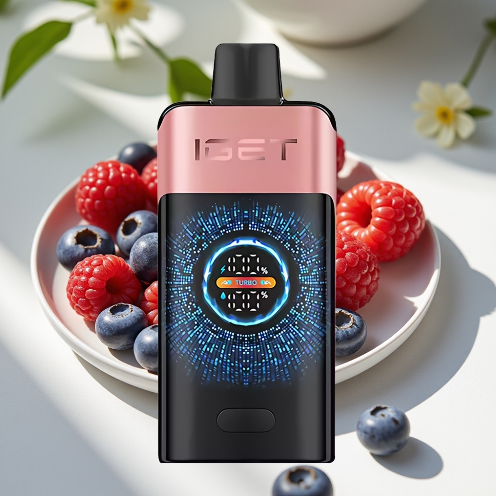 IGET ONE 12000 Puffs Turbo Disposable Vape with Dual Mesh Coil and Curved Screen - Blueberry Raspberry