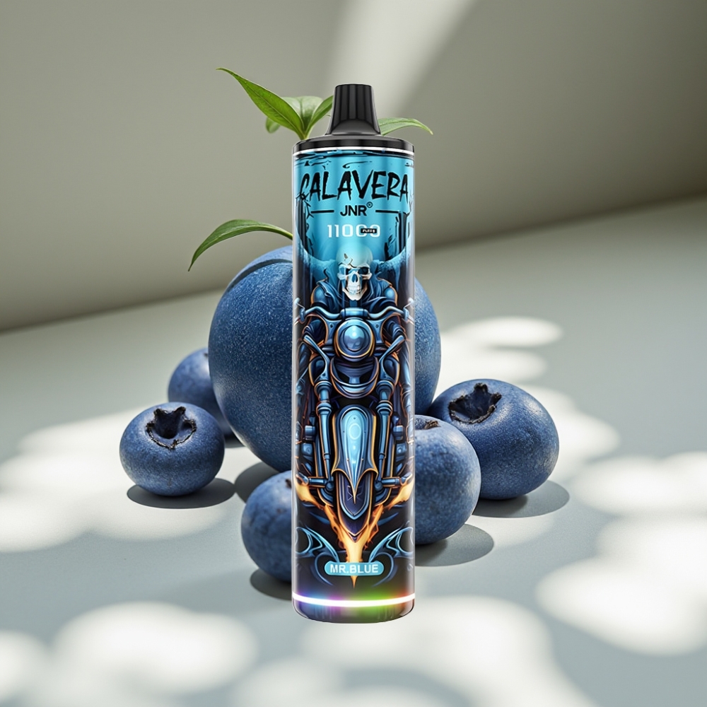 JNR Calavera 11000 Puffs 21ml Disposable Vape Mr Blue