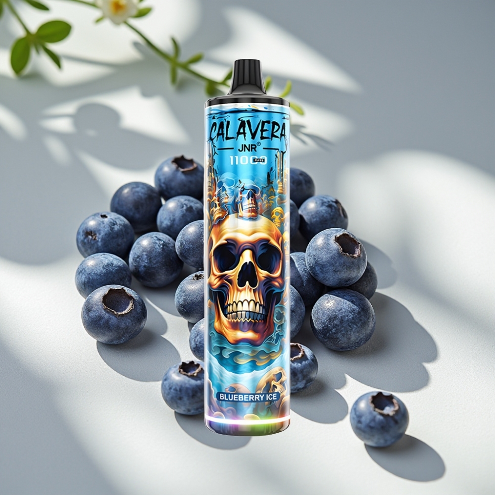 JNR Calavera 11000 Puffs 21ml Mesh Disposable Vape Blueberry Ice