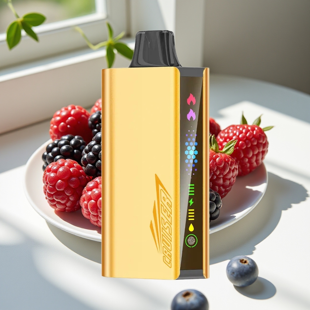 JNR Cruiser 12000 Puffs No-Charge Disposable Vape with 3500mAh Battery & Animation Screen – Blackberry Ice