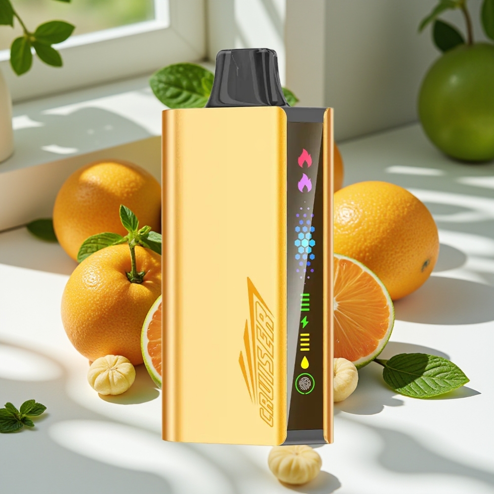 JNR Cruiser 12000 Puffs No-Charge Disposable Vape with 3500mAh Battery & Dual Mesh Coil – Cool Mint