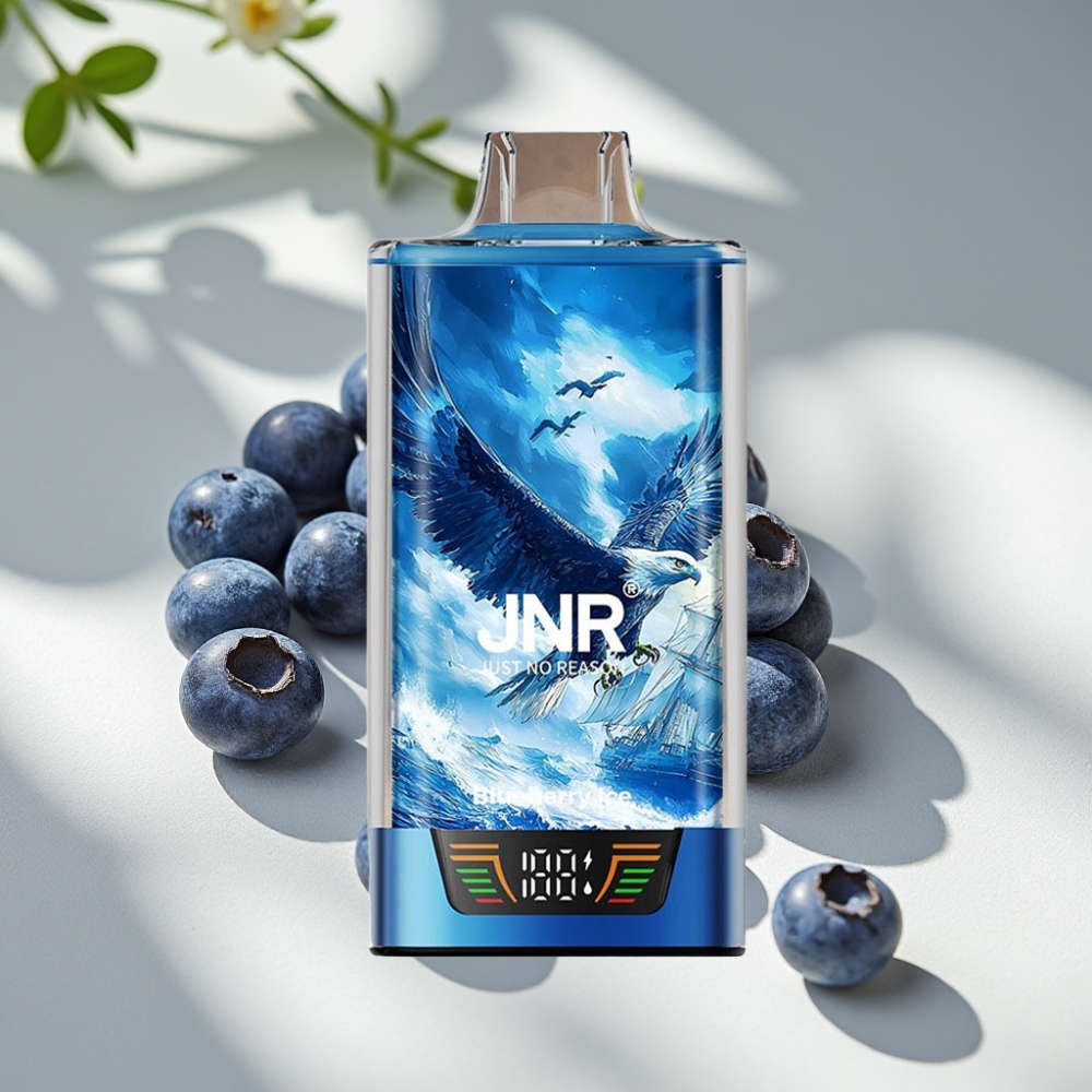 JNR Falcon Pro 28000 Disposable Vape - 30ml, 950mAh, Dual Mesh, Blueberry Ice