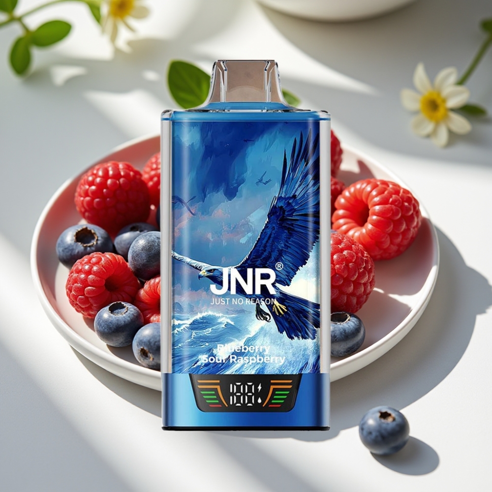 JNR Falcon Pro 28000 Disposable Vape – 30ml, 950mAh, Dual Mesh, Blueberry Sour Raspberry