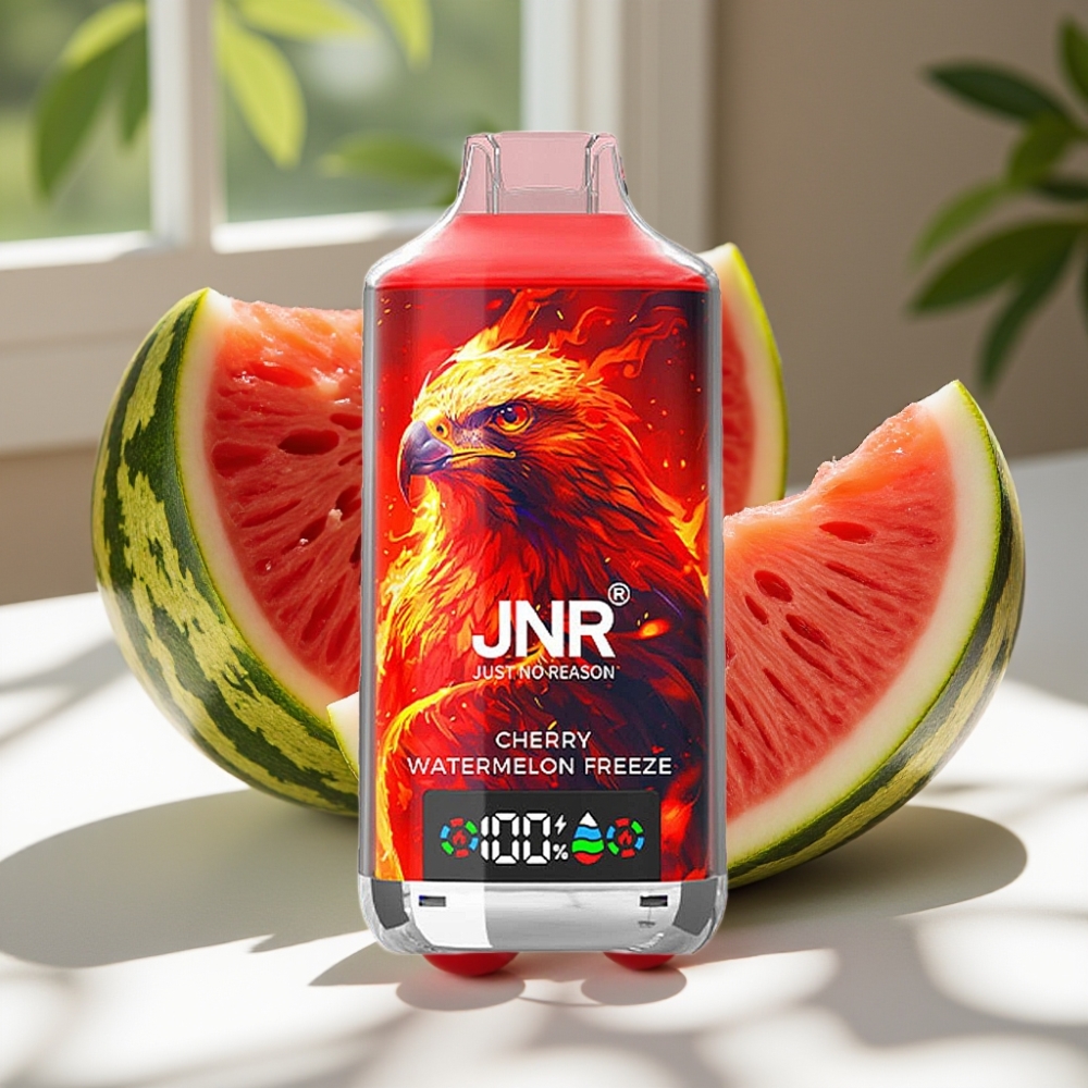 JNR Falcon X 18000 Puffs 24ml Dual Mesh Disposable Vape Cherry Watermelon Freeze
