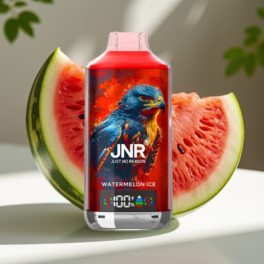 JNR Falcon X 18000 Puffs 24ml Dual Mesh Disposable Vape Watermelon Ice
