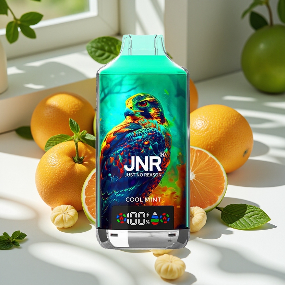 JNR Falcon X 18000 Puffs Dual Mesh 24ml Type-C Disposable Vape Cool Mint