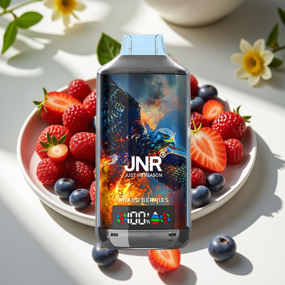 JNR Falcon X 18000 Puffs Dual Mesh 24ml Type-C Disposable Vape Mixed Berries