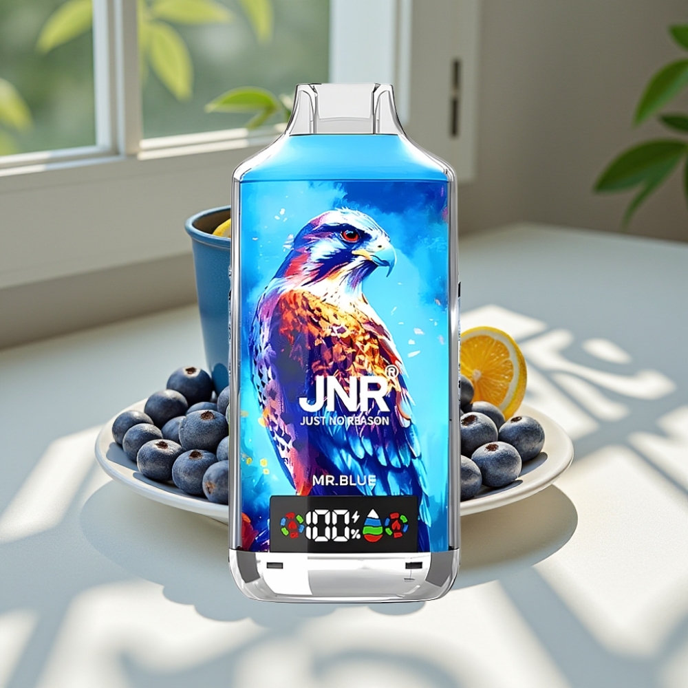 JNR Falcon X 18000 Puffs Dual Mesh 24ml Type-C Disposable Vape Mr. Blue