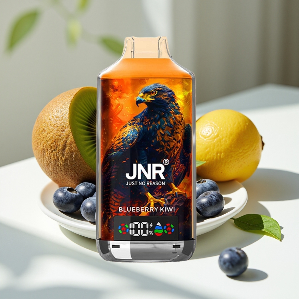 JNR Falcon X 18000 Puffs Dual Mesh Disposable Vape Blueberry Kiwi
