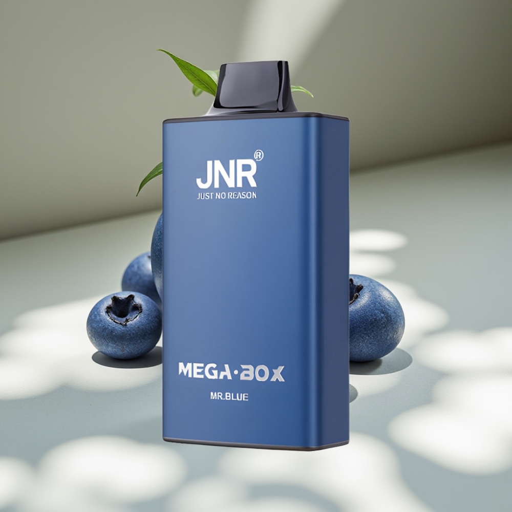 JNR Mega Box 25000 Puffs 30ml 2% Nicotine Disposable Vape Mr Blue