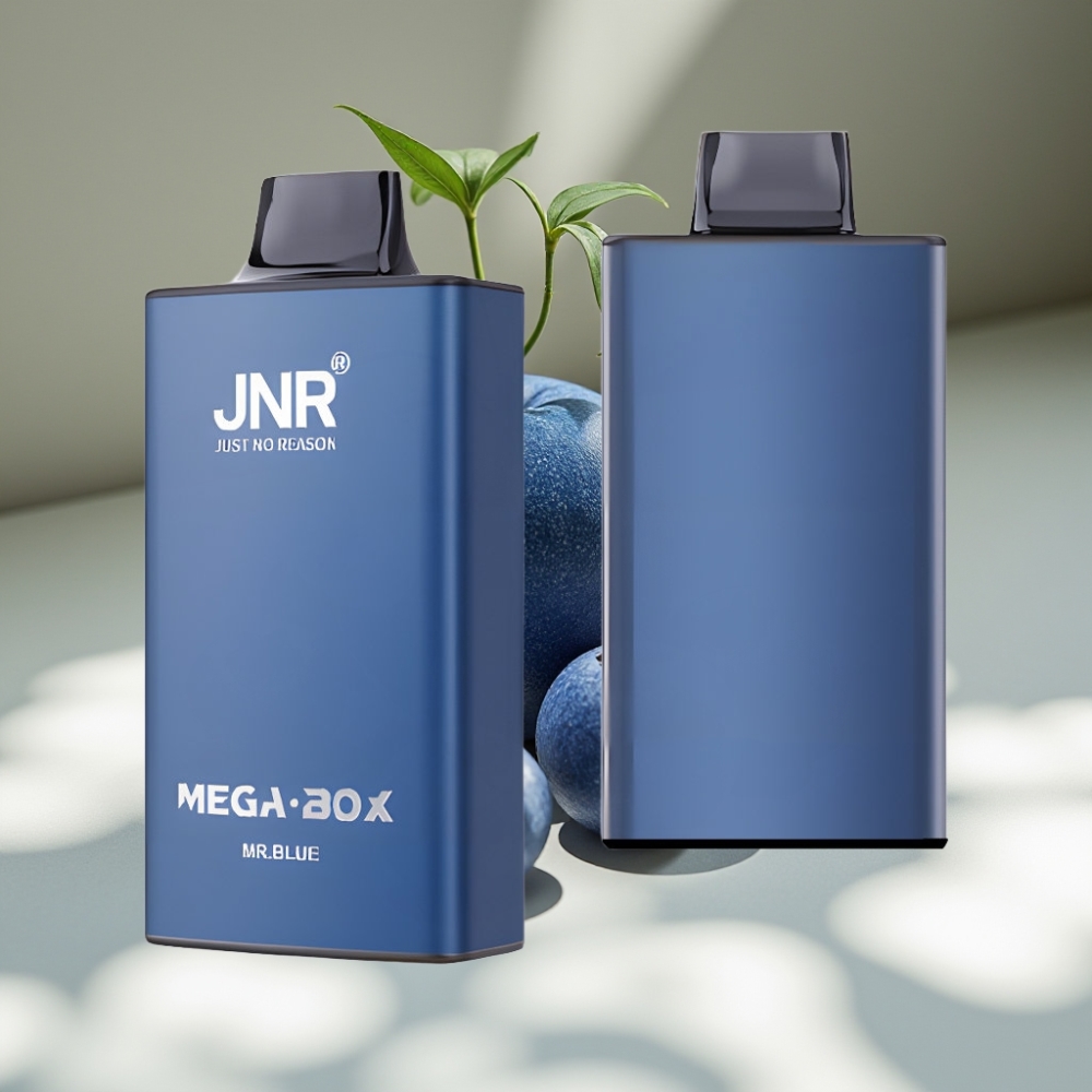 JNR Mega Box 25000 Puffs 30ml 2% Nicotine Disposable Vape Mr Blue