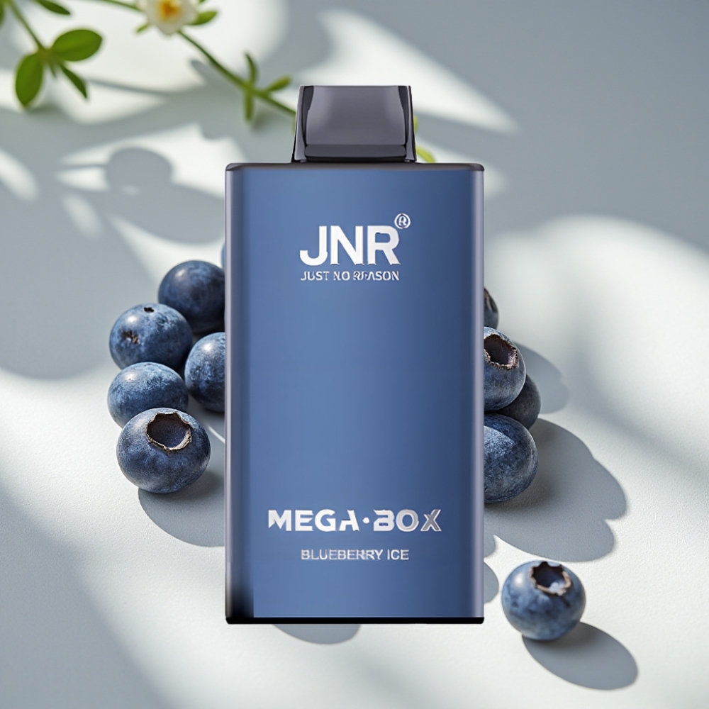 JNR Mega Box 25000 Puffs 30ml 850mAh Disposable Vape Blueberry Ice