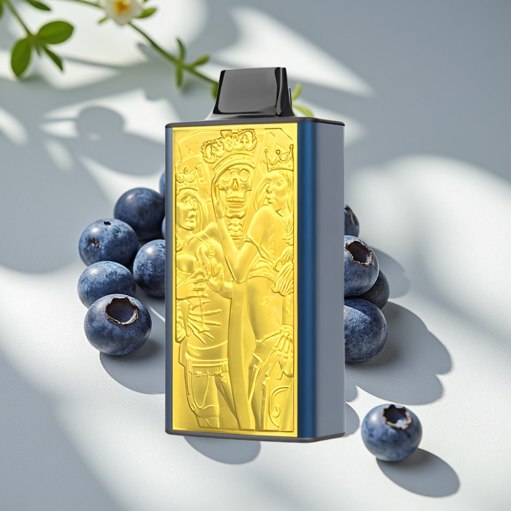 JNR Mega Box 25000 Puffs 30ml 850mAh Disposable Vape Blueberry Ice