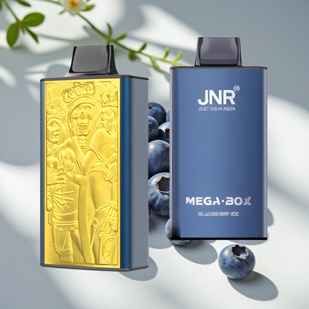 JNR Mega Box 25000 Puffs 30ml 850mAh Disposable Vape Blueberry Ice
