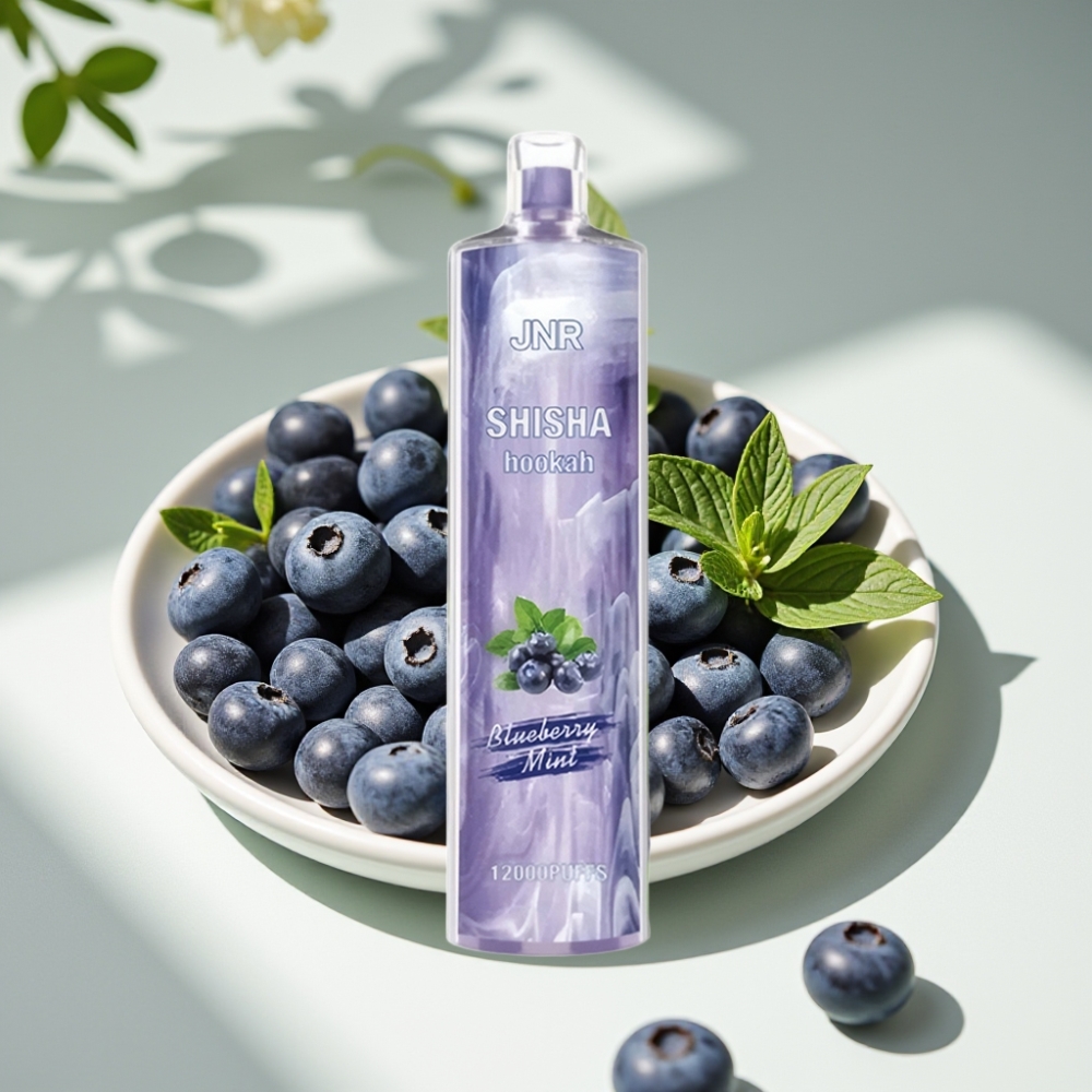 JNR Shisha Hookah 12000 Puffs Disposable Vape - 24ml E-Liquid, 0.6 Ohm Mesh Coil, Type-C Fast Charging, Blueberry Mint