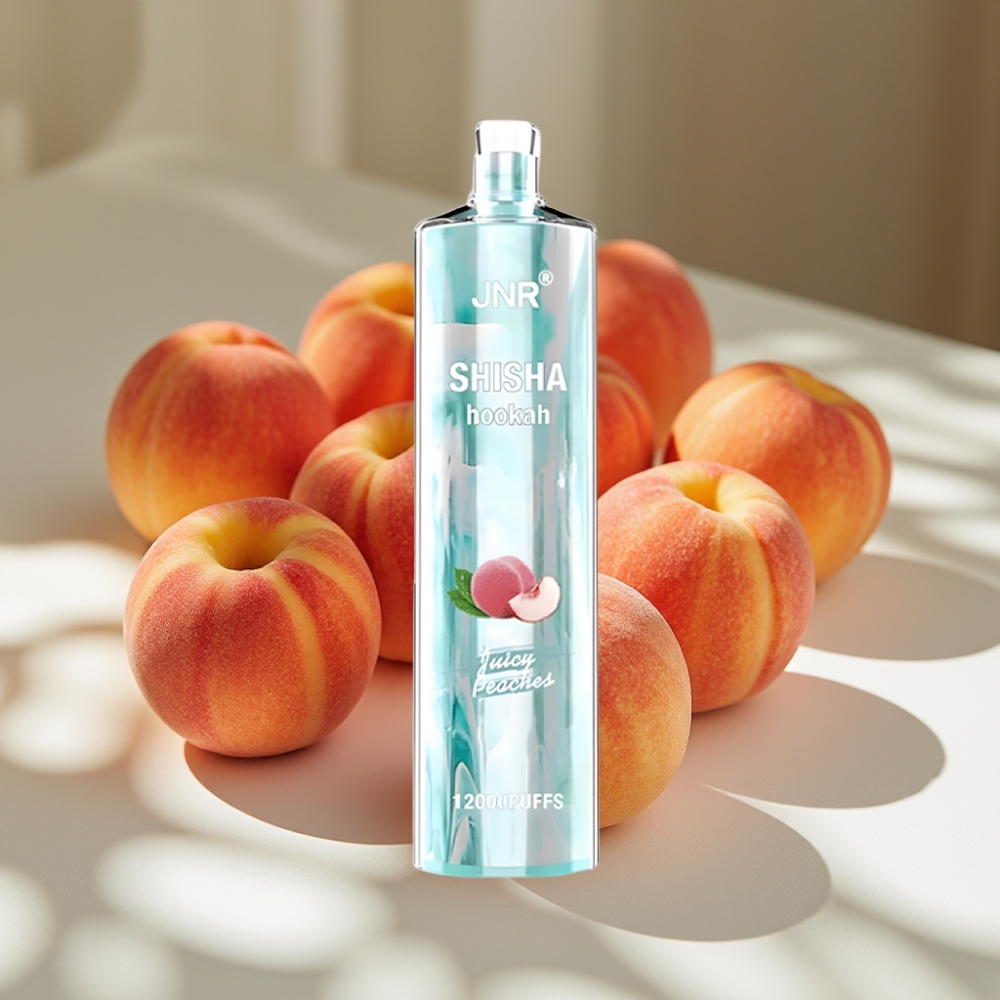 JNR Shisha Hookah 12000 Puffs Disposable Vape Juicy Peaches – 24ml E-Liquid, 0.6 Ohm Mesh Coil, Type-C Fast Charging