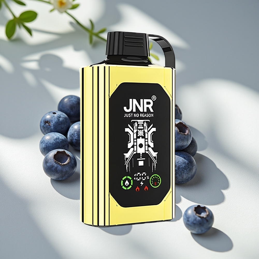 JNR Shisha Hookah Box 20500 Puffs Disposable Vape with HD Display, Dual Mesh Coil & Type-C Quick Charge - Blueberry Ice