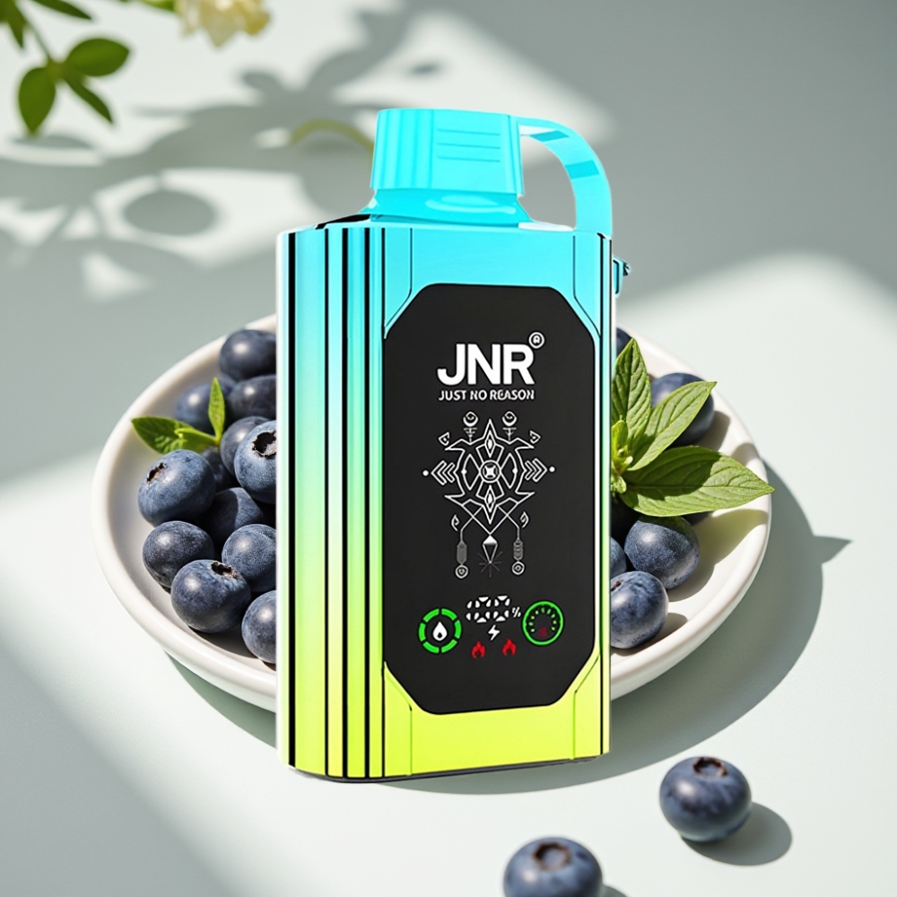 JNR Shisha Hookah Box 20500 Puffs HD Display Dual Mesh Coil Disposable Vape Blueberry Mint