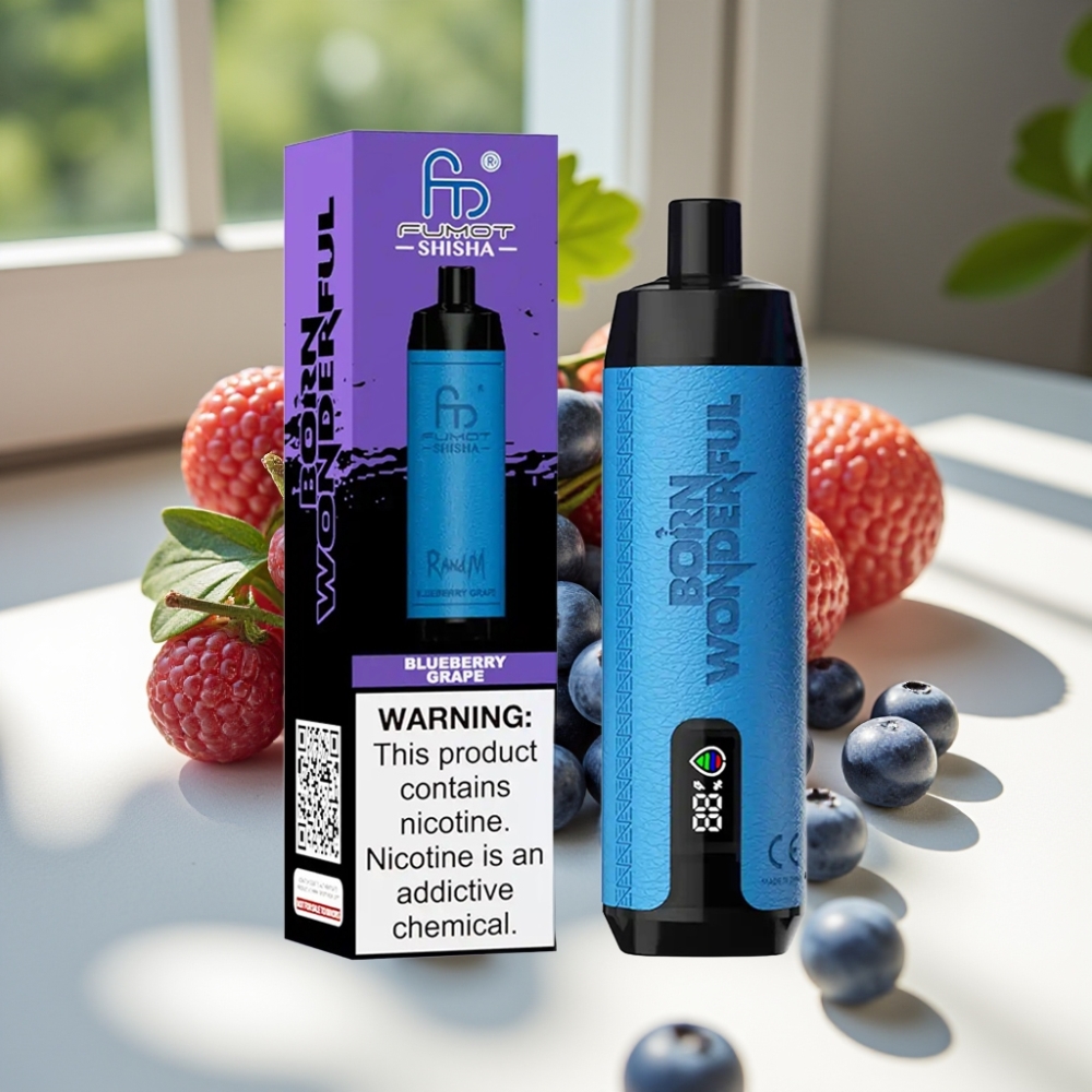 RandM Fumot Shisha 10000 Puffs 18ml Disposable Vape Blueberry Grape