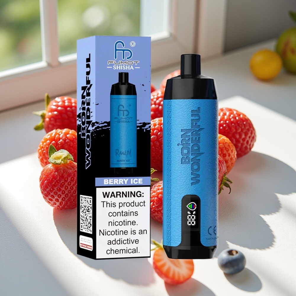 RandM Fumot Shisha 10000 Puffs Disposable Vape with LED Indicator & Type-C Port – Berry Ice