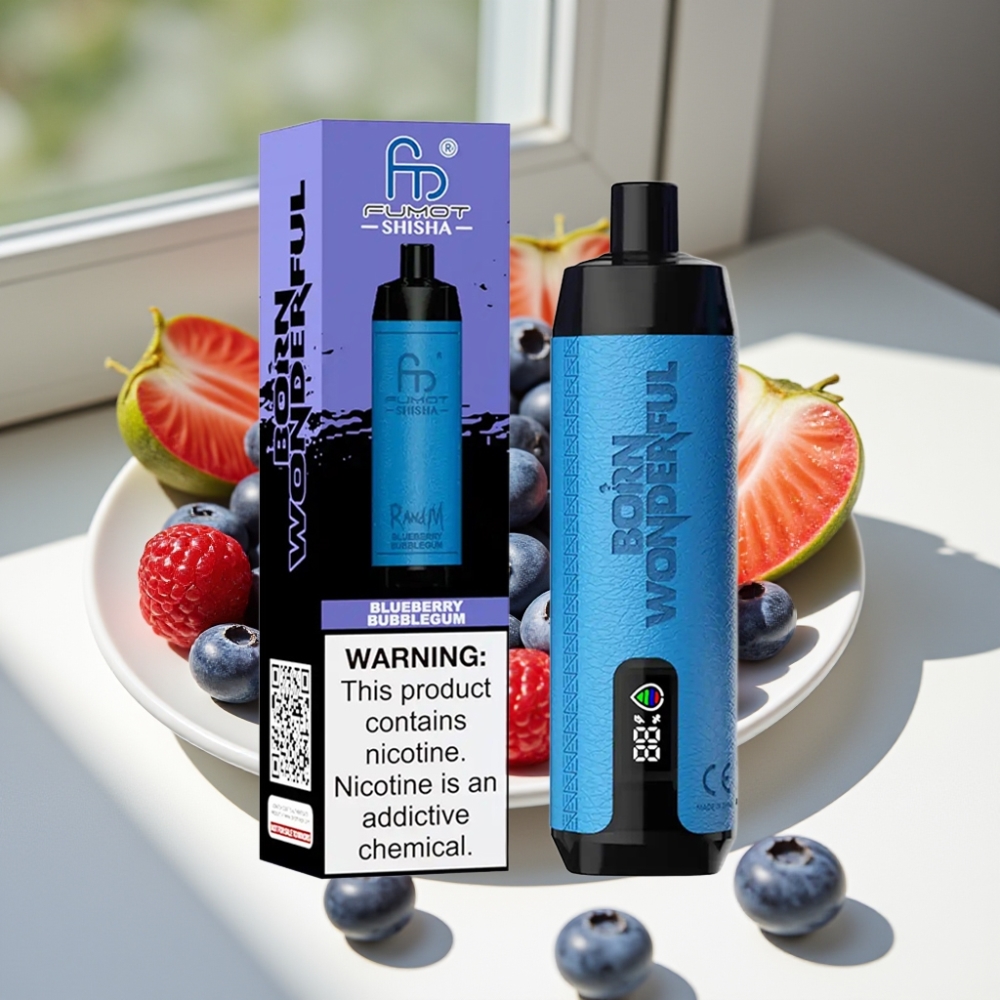 RandM Fumot Shisha 10000 Puffs Disposable Vape with LED Indicator & Type-C Port - Blueberry Bubblegum
