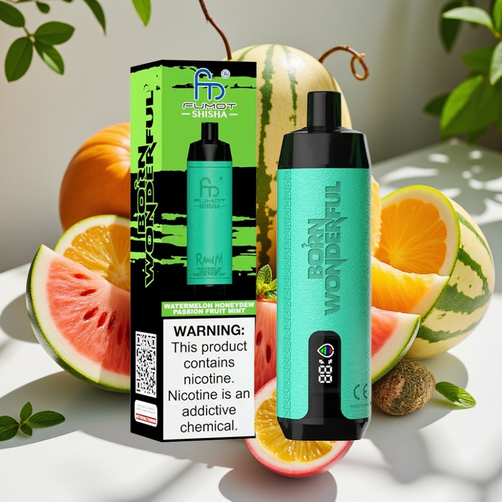 RandM Fumot Shisha 10000 Puffs Disposable Vape with LED Indicator & Type-C Port - Watermelon Honeydew Passion Fruit Mint