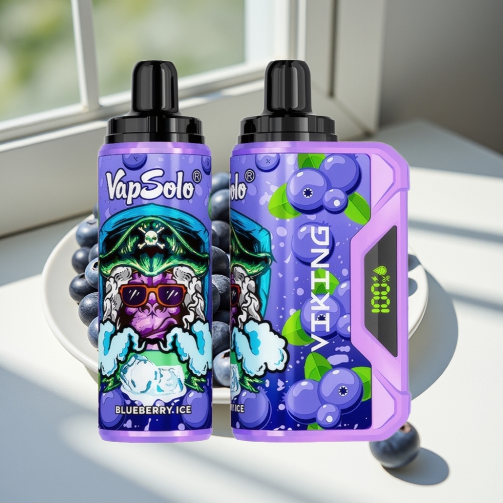 VapSolo VIKING 12000 Puffs 22ml Disposable Vape Blueberry