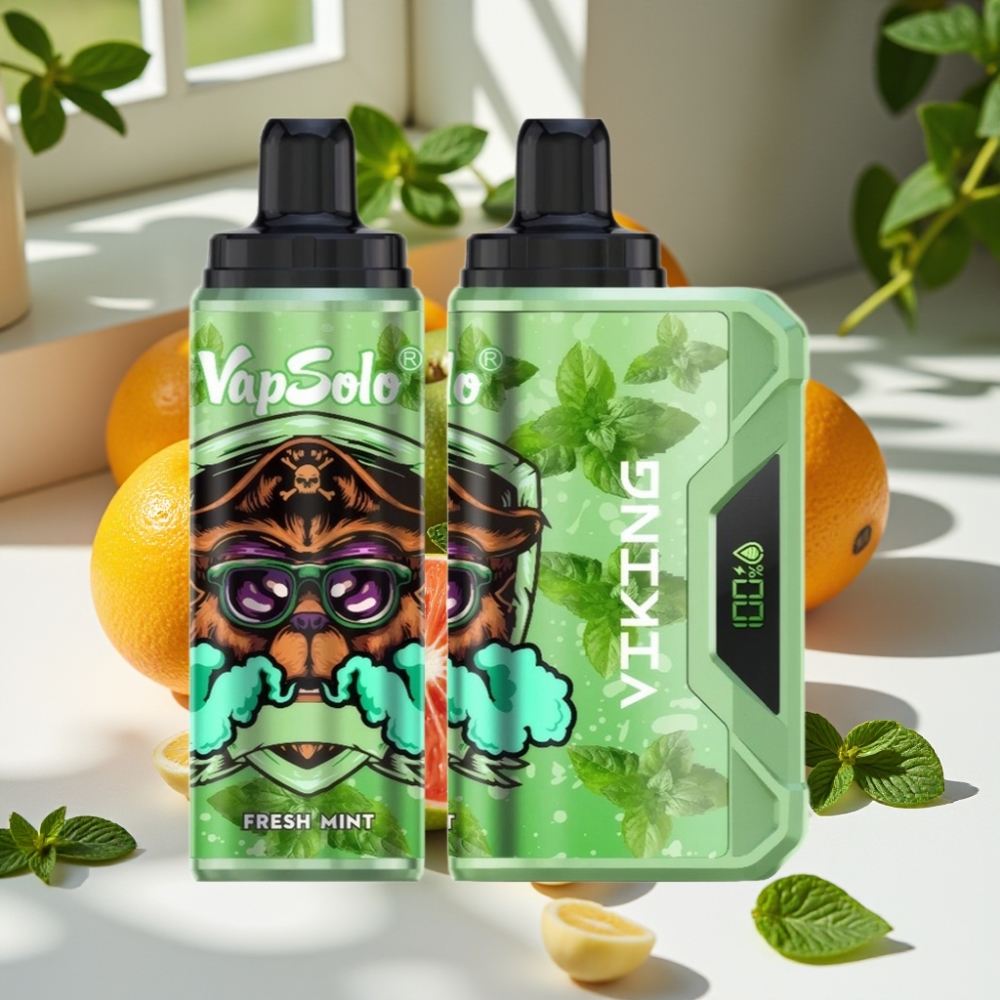 VapSolo VIKING 12000 Puffs 22ml Disposable Vape Fresh Mint
